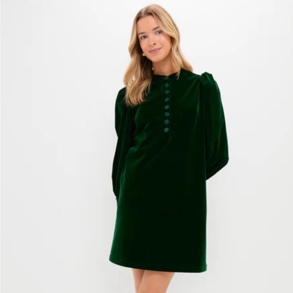Elegant Tuckernuck Green Velvet Dress